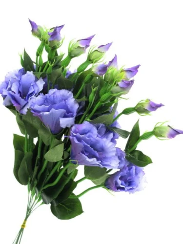 4beeb2eaa8f20bc1246d130f3c51d85b886a2992