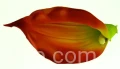 f909e0340662fea5bedb9ebcbfe128941429efc6