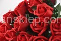 IMG_9670.JPG
