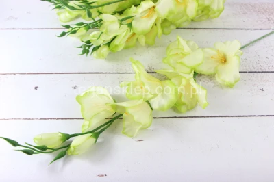 Mieczyk BL019 ABC (12 szt) dk cream green/z obrzeżami