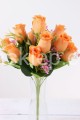 IMG_9866.JPG