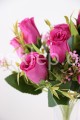 IMG_9872.JPG