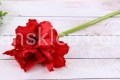 IMG_9941.JPG