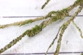 IMG_0027.JPG