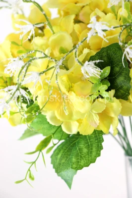 Hortensje na piku LIU287 (12szt) yellow / #asst4