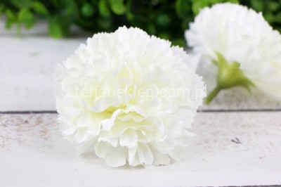 Goździk wyr. satynowy CA960 (20 szt) biel/j.krem #1