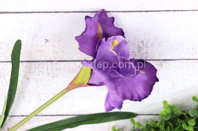 Irys gałązka CK34 fiol./lila