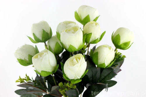 IMG_0998.JPG