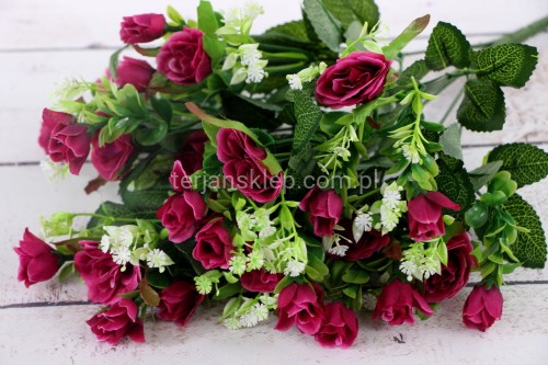 IMG_1020.JPG