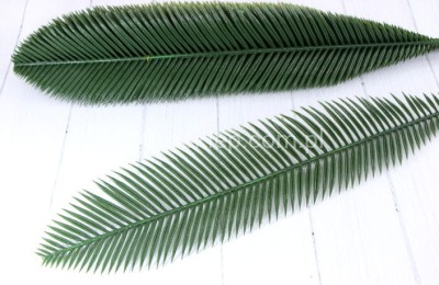 LIŚĆ PALMY CYKAS plast. SUN465 (12 szt)