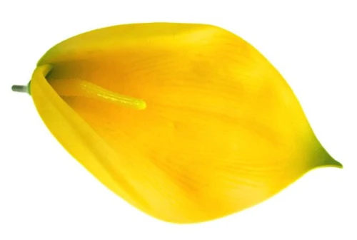 307a74b12d33e78f3e2bbdb107248525e65451c1