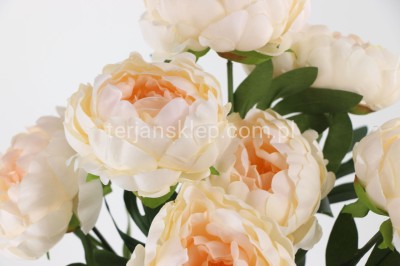 Bukiet peonii AK74 tt salmon/wanilia