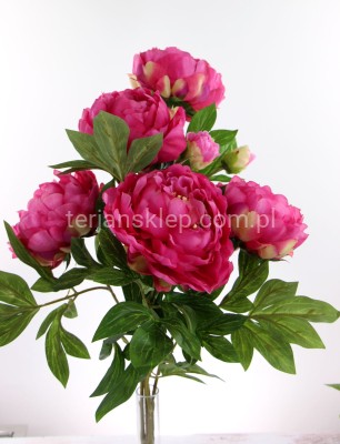 Bukiet peonii SUN122 fuchsia (słodki róż) #1666/#1667