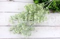 IMG_1909.JPG