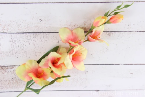 IMG_1943.JPG