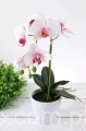 IMG_2011.JPG