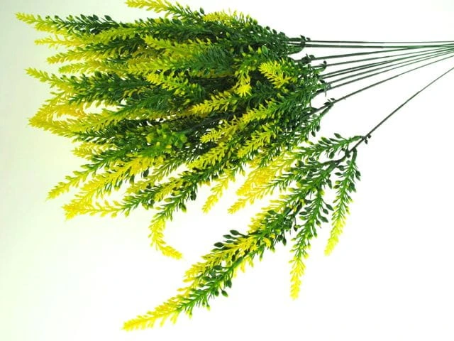 01ab4928018fa0798aa3778fe2d8844fff7d25ae