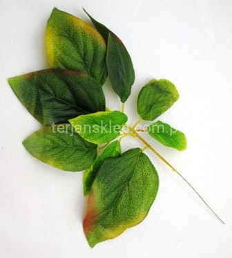 Liście RX023A (12 szt) z akcentami bordo