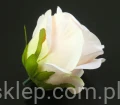 0bbf2290b1d9fda38c36f8dd06af823decd671c3