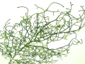 d9bc620610283d91fd732fd6d997179accde571b