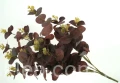 ce948aa3634a28854244d742b25345121129da8a
