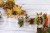 IMG_4095.JPG