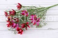 IMG_4288.JPG