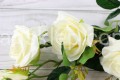 IMG_4333.JPG