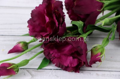 Eustoma gał. SUN345 deep burgundy #2914