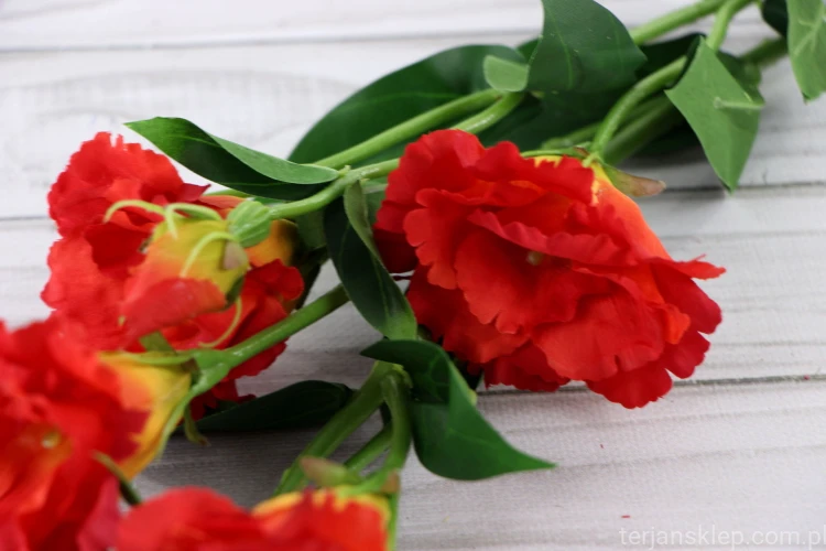 IMG_4446.JPG