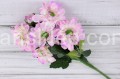 IMG_4452.JPG