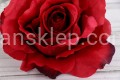 IMG_4392.JPG