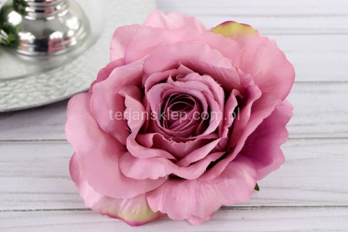 IMG_4398.JPG