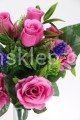 IMG_4579.JPG