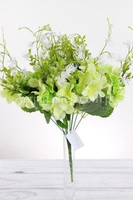 Hortensje na piku LIU287 (12 szt) green #33 / #asst4