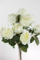 IMG_4751.JPG