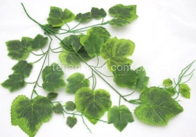 Gałąź winogronowa CL700 C (12 szt) zielona karbowana