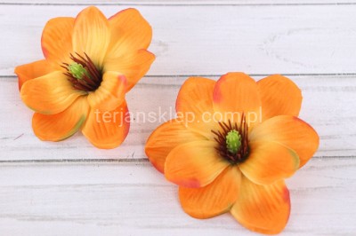 Magnolia wyrobowa MNIEJSZA CK87 (12 szt) pomar. z akcentami #5 / #4