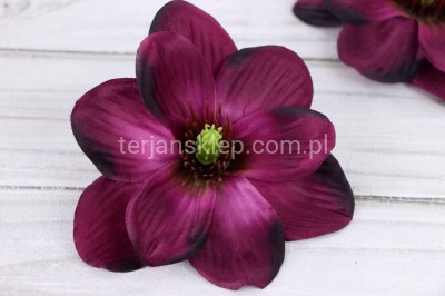 Magnolia wyrobowa MNIEJSZA CK87 (12 szt) dk beauty #7