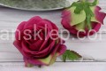 IMG_4924.JPG