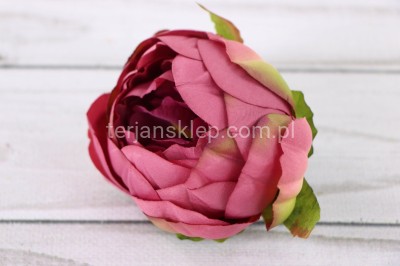 Peonia wyrobowa N006 (12 szt) lt beauty (jesienne beauty z ziel.akcent.)