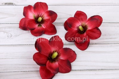 Magnolia wyrobowa MNIEJSZA CK87 (12 szt) dk raspberry #12