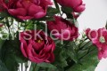 IMG_5272.JPG