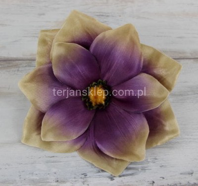 Magnolia C368 / CM520  śliwka/oliwka jes. #59/BD 