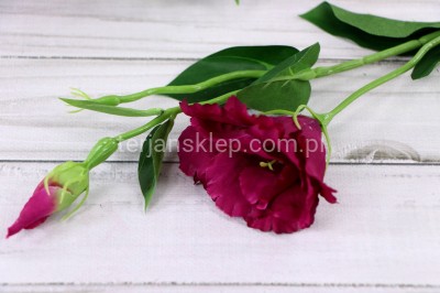 Eustoma SUN357 (12 szt) fuchsia #2268
