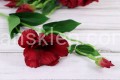IMG_5364.JPG