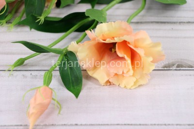 Eustoma SUN357 (12 szt) deep peach #1755