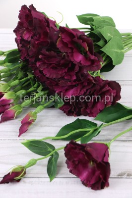 Eustoma SUN357 (12 szt) deep burgundy #2914