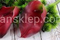 IMG_5511.JPG
