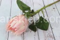 IMG_5585.JPG